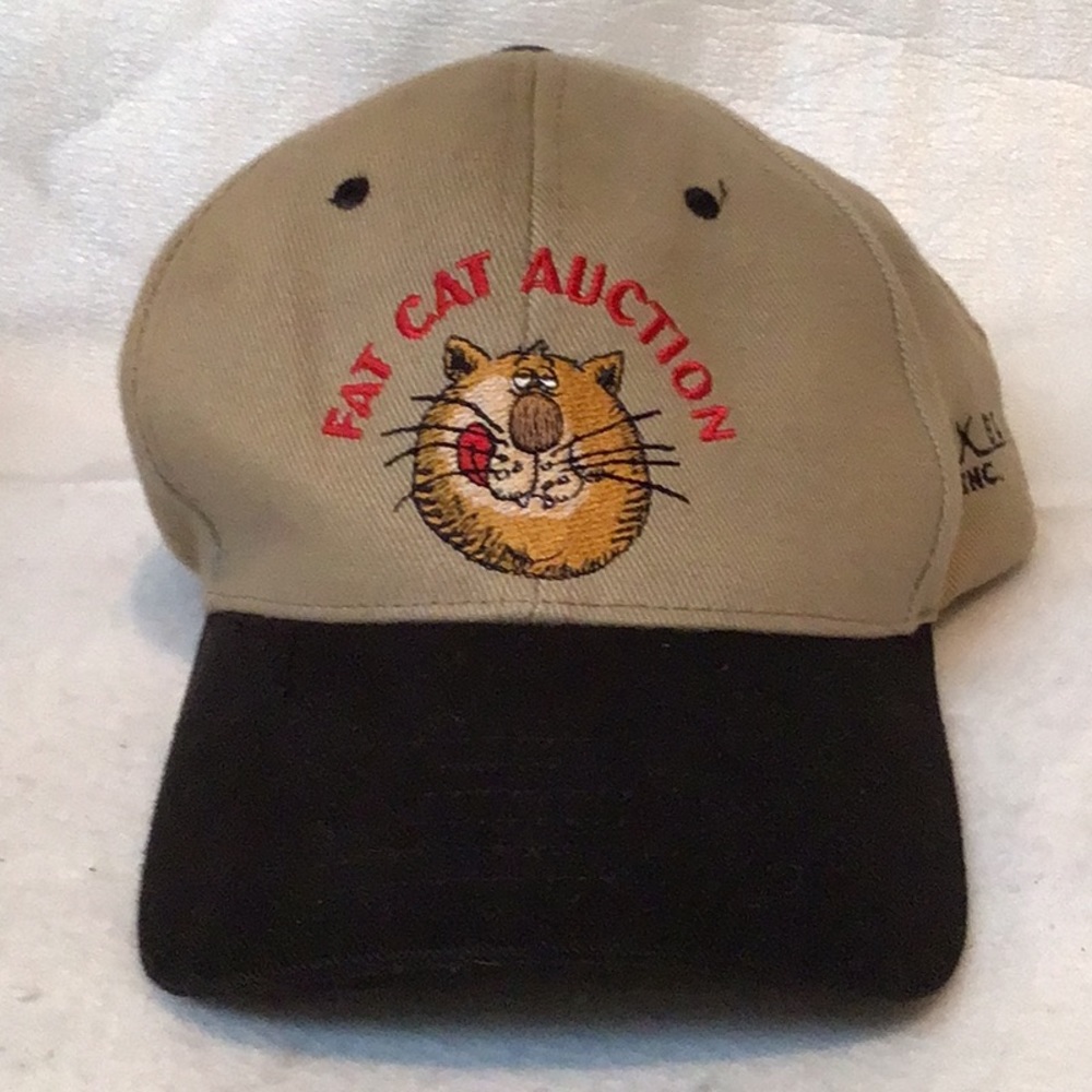 Novelty hat
